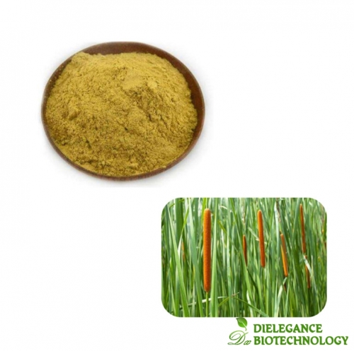 Pure Pu Huang Cattail Pollen Extract Powder Pollen Typhae Bulk