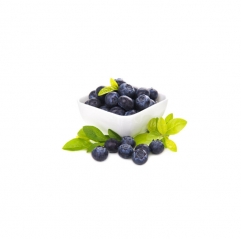 High Quality Anthocyanins 1%-25% Blueberry Extract