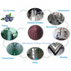 High Quality Anthocyanins 1%-25% Blueberry Extract