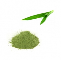 Food Ingredient 10:1 20:1 Pandan Leaf Extract Powder
