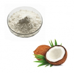 Factory Supply Bulk Water Coconut Milk Powder Pure Coconut Extract Powder