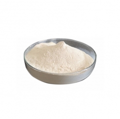 Factory Supply Bulk Water Coconut Milk Powder Pure Coconut Extract Powder