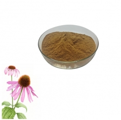 Pure Echinacea Purpurea Herb Extract 1% Chicoric Acid Powder