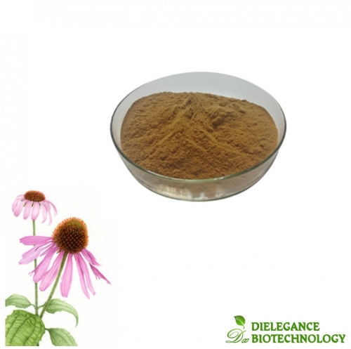 Pure Echinacea Purpurea Herb Extract 1% Chicoric Acid Powder