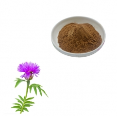 Health Supplement Ingredient 10:1 20:1 Milk Thistle Extract powder