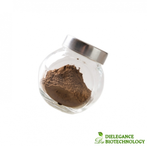 Health Supplement Ingredient 10:1 20:1 Milk Thistle Extract powder