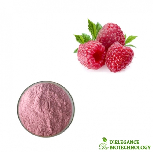 Organic Spray Dried Berry Powder Raspberry Powder