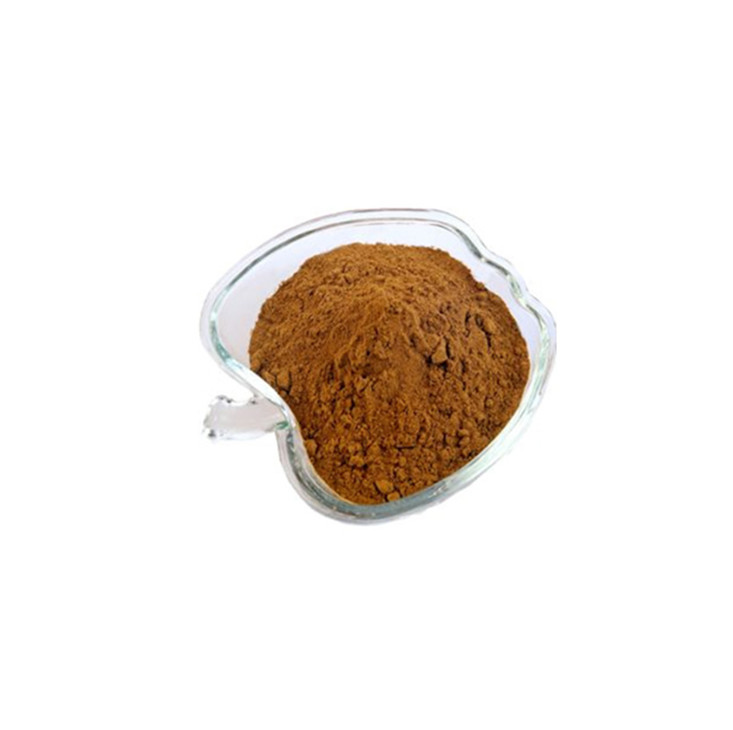 What is Mushroom Beta Glucan?