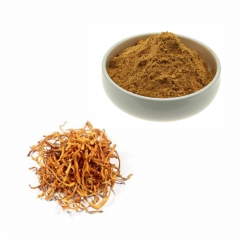 Organic Cordyceps Militaris Extract Powder