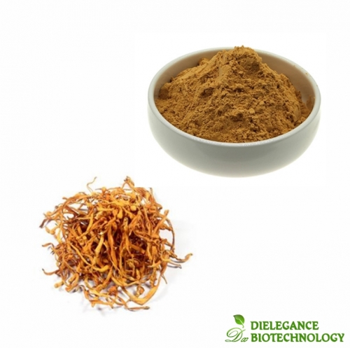 Organic Cordyceps Militaris Extract Powder