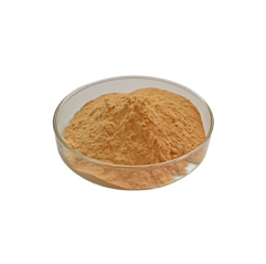 Organic Cordyceps Militaris Extract Powder