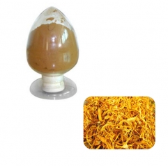 Cordyceps Militaris Extract