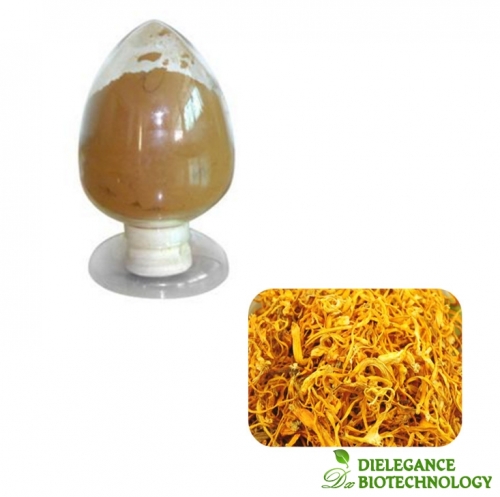 Cordyceps Militaris Extract