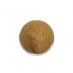 Ophiopogon Root Extract Powder