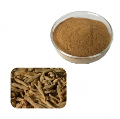 Ophiopogon Root Extract Powder