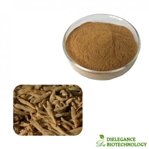 Ophiopogon Root Extract Powder