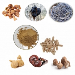 10-In-1 Mushroom Blends Mushroom Capsules