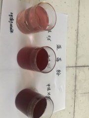 Natural Blueberry Extract Anthocyanins