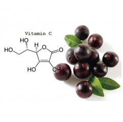 Acai Berry Extract Anthocyanin