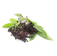 Natural Black Elderberry Extract Anthocyanins