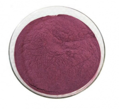 Natural Blueberry Extract Anthocyanins