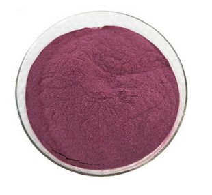 Natural Blueberry Extract Anthocyanins