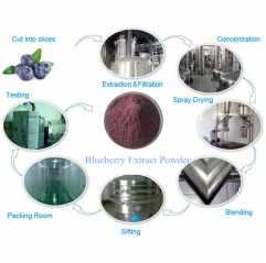 Natural Blueberry Extract Anthocyanins