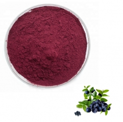Acai Berry Extract Anthocyanin