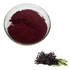Natural Black Elderberry Extract Anthocyanins
