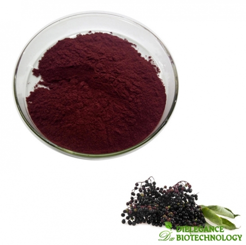 Natural Black Elderberry Extract Anthocyanins