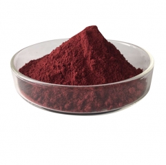 Natural Black Elderberry Extract Anthocyanins