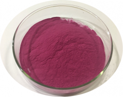 Cranberry Extract Anthocyanidins