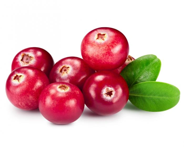 Cranberry Extract Anthocyanidins