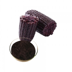 Purple Corn Extract Anthocyanin