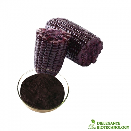 Purple Corn Extract Anthocyanin