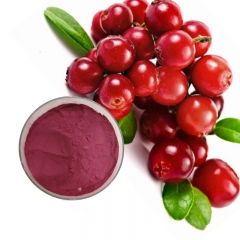 Cranberry Extract Anthocyanidins