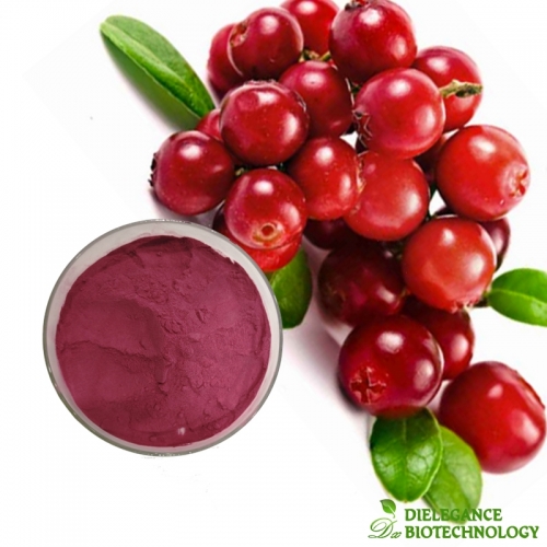 Cranberry Extract Anthocyanidins