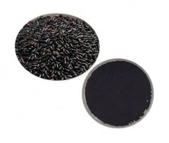 Natural Black Rice Extract Anthocyanin