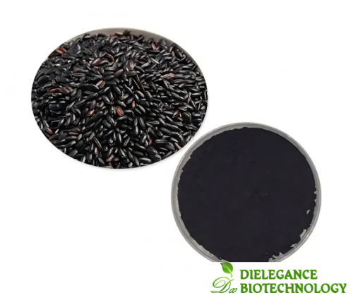 Natural Black Rice Extract Anthocyanin