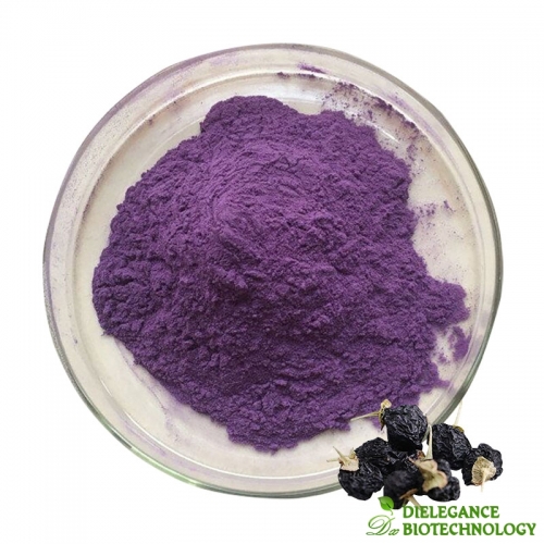 Black Goji Extract Anthocyanin
