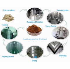 Ashwagandha Extract 2.5% 5% 10% Withanolides in Powder Form