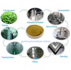 High Quality 10:1 Gynura Procumbens Extract Powder