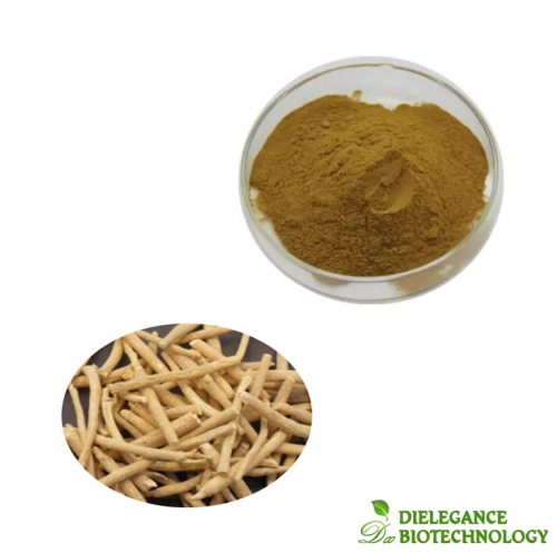 Ashwagandha Extract 2.5% 5% 10% Withanolides in Powder Form
