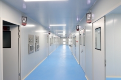 Boswellia Serrata Extract