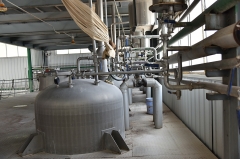 Boswellia Serrata Extract