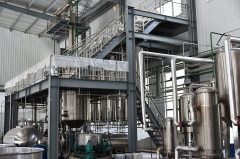 Boswellia Serrata Extract