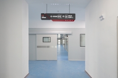 Boswellia Serrata Extract