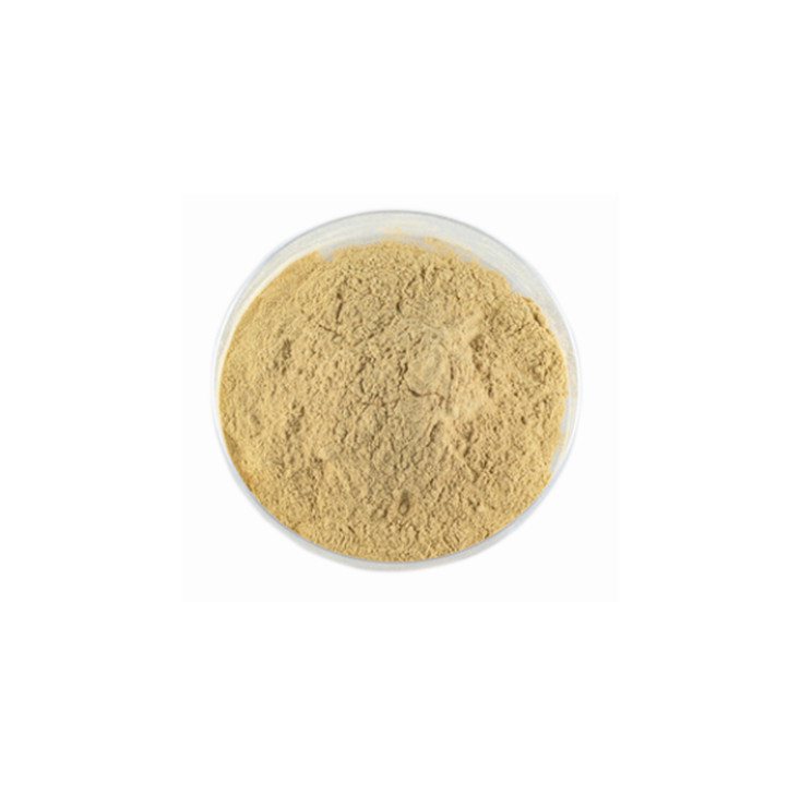 Make Life Sweet with Less Sugar: Your Guide to Natural Sweeteners & Flavors