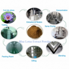 Blue Lotus Extract 200:1 (Nymphaea Flower P.E.)