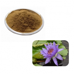 Blue Lotus Extract 200:1 (Nymphaea Flower P.E.)